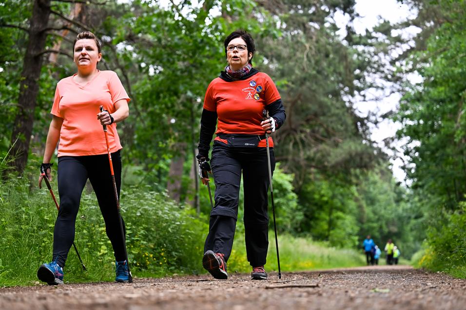 Zwei Frauen gehen mit Nordic-Walking-Stöcken auf einem Waldweg, umgeben von Bäumen und grüner Vegetation.
